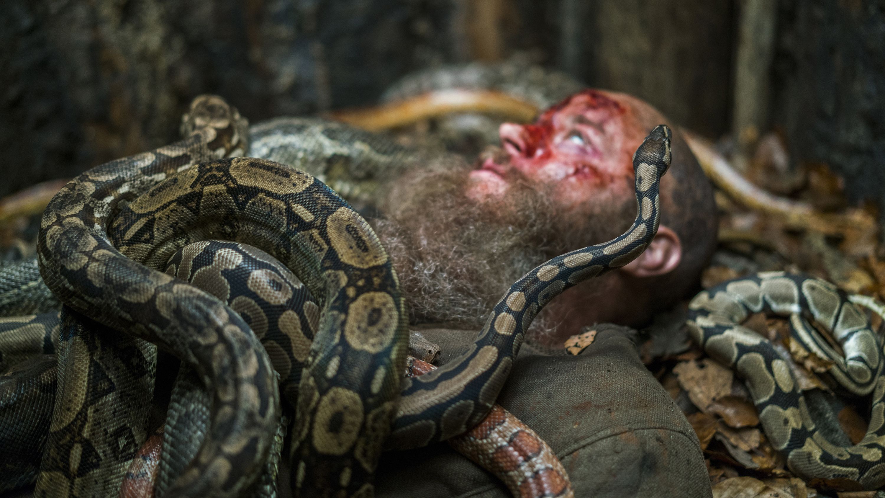 Ragnar Lothbrok in snake pit